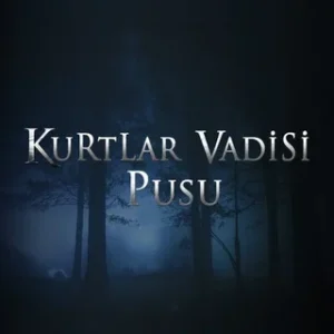Kurtlar Vadisi Pusu